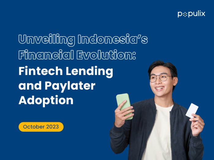 Fintech dan Paylater Dominasi Transaksi Harian yang Meningkat