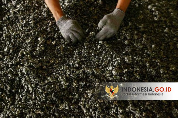 Pemerintah Genjot Hilirisasi Nikel dan Sawit