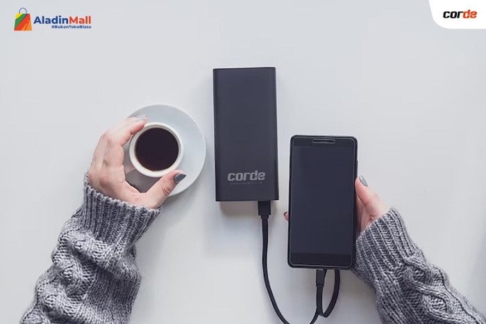Review Aksesoris Gadget Terkini yang Lagi Hits