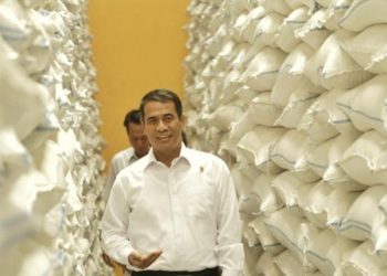 Beras Harus Selalu Tersedia di Pasaran