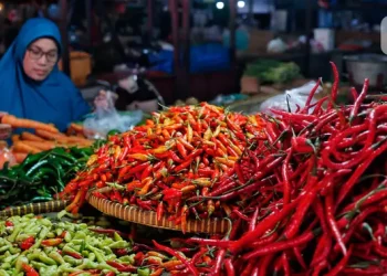 Harga Pangan 22 Agustus 2026: Cabai Rawit Merah Sebesar 70450 Rupiah per Kg