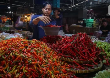 Cabai dan Bawang Turun Bersamaan