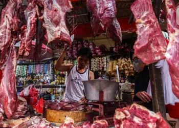 Harga Daging Sapi Sedang Turun